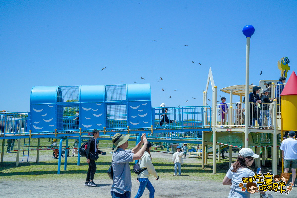日本旅遊,日本自由行,日本賞花景點,海之中道,福岡景點,粉蝶花景點
