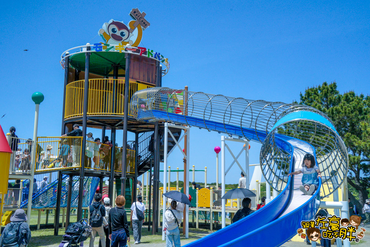 日本旅遊,日本自由行,日本賞花景點,海之中道,福岡景點,粉蝶花景點