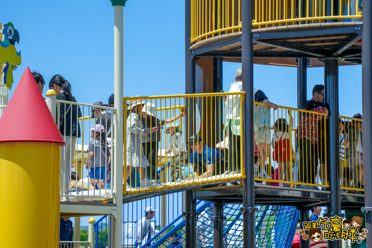 日本旅遊,日本自由行,日本賞花景點,海之中道,福岡景點,粉蝶花景點