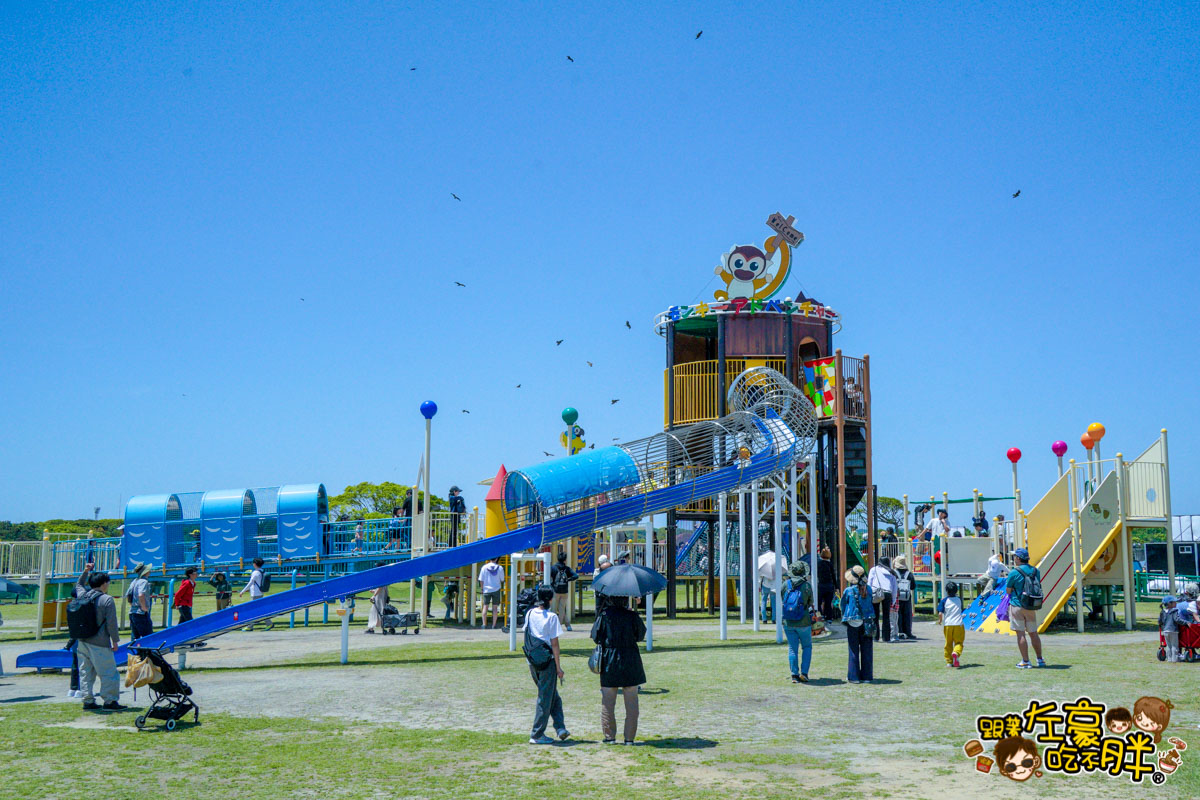 日本旅遊,日本自由行,日本賞花景點,海之中道,福岡景點,粉蝶花景點 日本旅遊,日本自由行,日本賞花景點,海之中道,福岡景點,粉蝶花景點