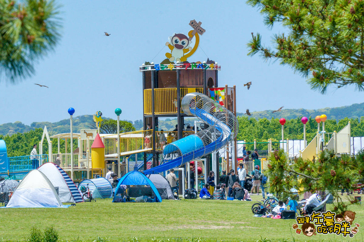 日本旅遊,日本自由行,日本賞花景點,海之中道,福岡景點,粉蝶花景點