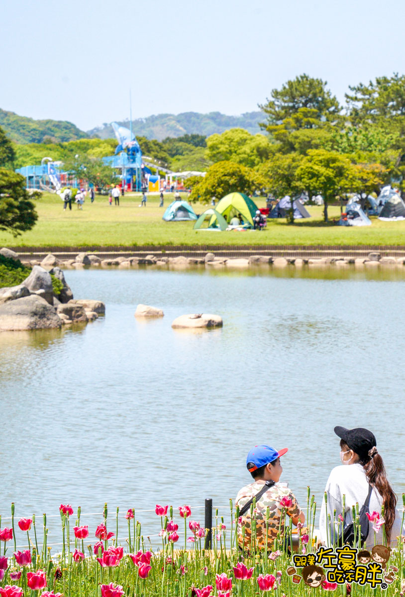 日本旅遊,日本自由行,日本賞花景點,海之中道,福岡景點,粉蝶花景點 日本旅遊,日本自由行,日本賞花景點,海之中道,福岡景點,粉蝶花景點