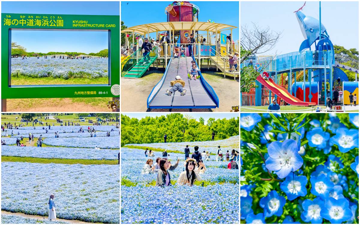 網站近期文章：日本福岡景點,海之中道海濱公園,門票,開放時間,超壯觀粉蝶花,福岡親子景點推薦