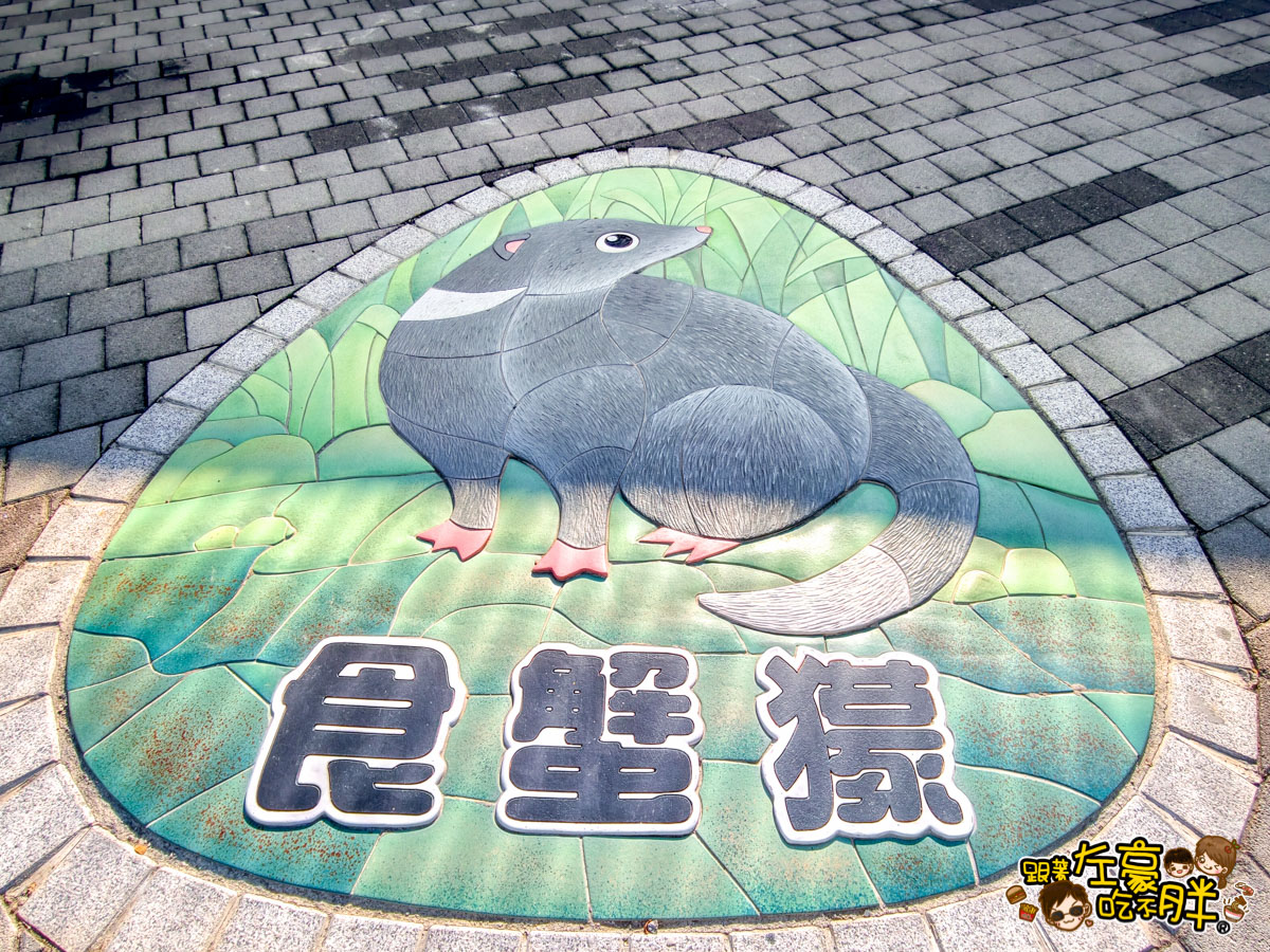 內門動物園,內門景點,親子景點,野森動物學校,野森動物學校交通,野森動物學校停車,野森動物學校門票,野森動物學校開放時間,高雄旅遊,高雄景點