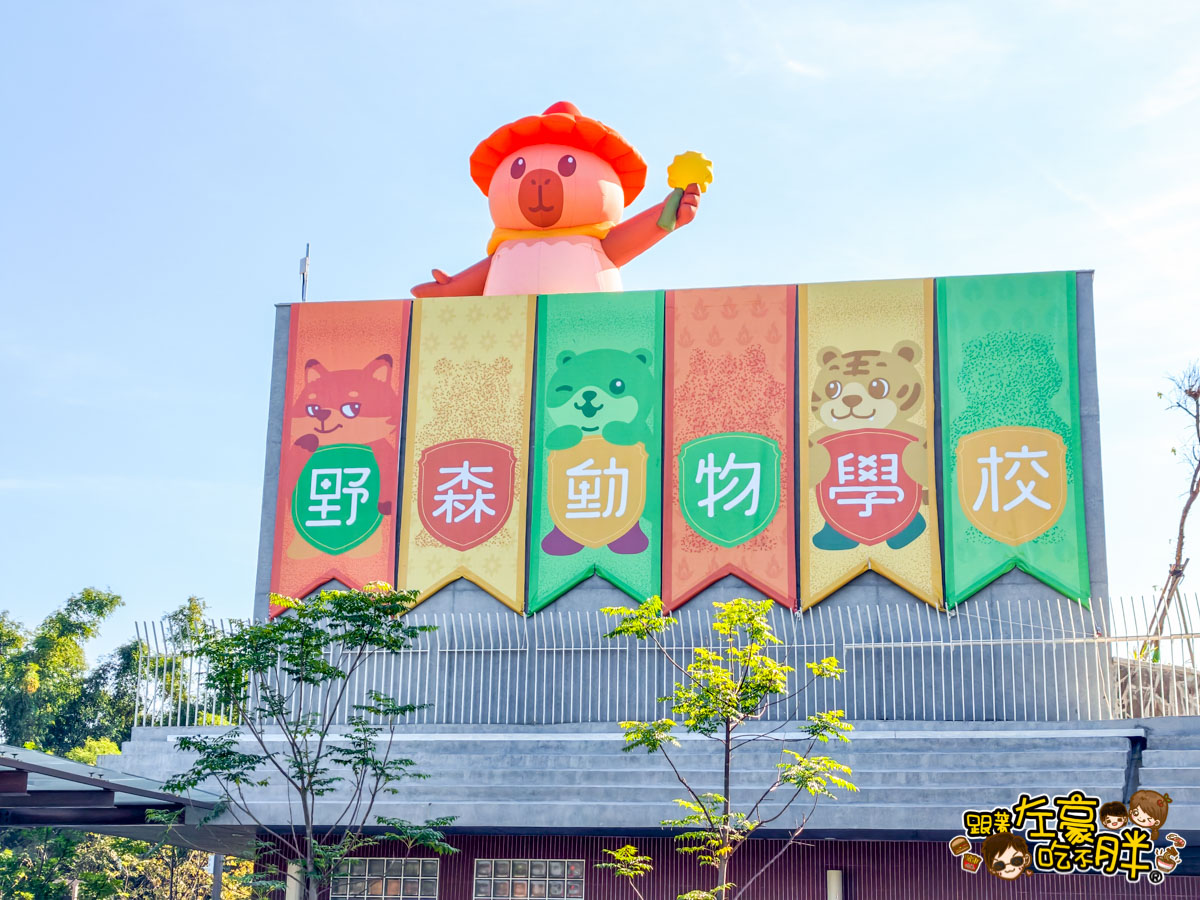 內門動物園,內門景點,親子景點,野森動物學校,野森動物學校交通,野森動物學校停車,野森動物學校門票,野森動物學校開放時間,高雄旅遊,高雄景點