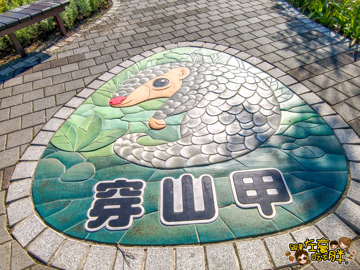 內門動物園,內門景點,親子景點,野森動物學校,野森動物學校交通,野森動物學校停車,野森動物學校門票,野森動物學校開放時間,高雄旅遊,高雄景點 內門動物園,內門景點,親子景點,野森動物學校,野森動物學校交通,野森動物學校停車,野森動物學校門票,野森動物學校開放時間,高雄旅遊,高雄景點