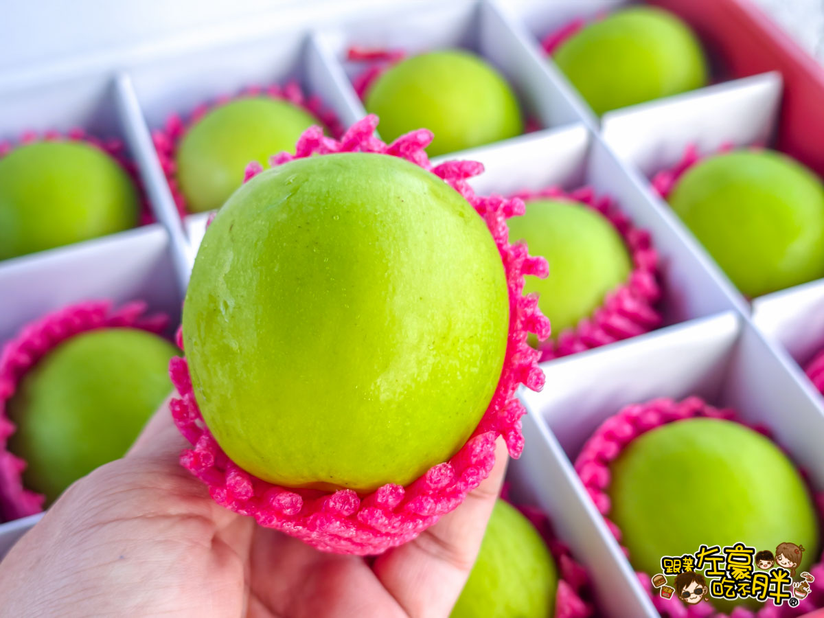 伴手禮推薦,平價禮盒推薦,年節禮盒,棗子,水果禮盒推薦,禮盒推薦,蜜棗,送禮,送禮推薦,過年禮盒推薦,靜園農場,高雄伴手禮