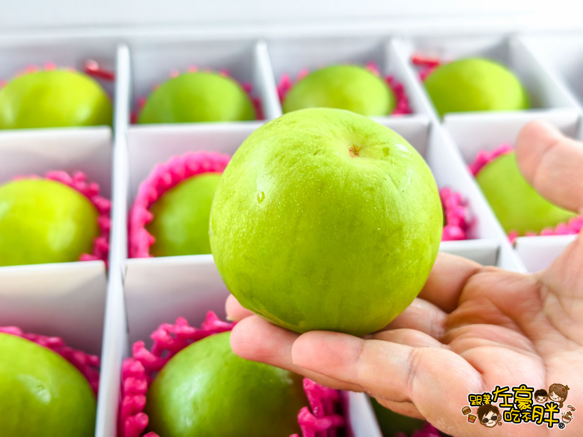 伴手禮推薦,平價禮盒推薦,年節禮盒,棗子,水果禮盒推薦,禮盒推薦,蜜棗,送禮,送禮推薦,過年禮盒推薦,靜園農場,高雄伴手禮