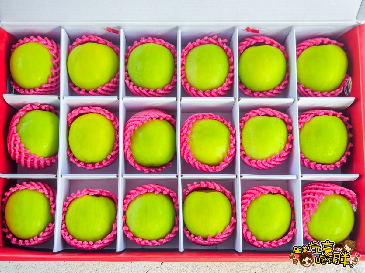 伴手禮推薦,平價禮盒推薦,年節禮盒,棗子,水果禮盒推薦,禮盒推薦,蜜棗,送禮,送禮推薦,過年禮盒推薦,靜園農場,高雄伴手禮