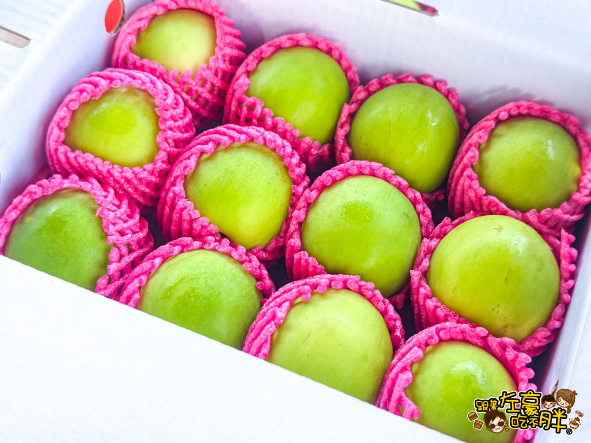 伴手禮推薦,平價禮盒推薦,年節禮盒,棗子,水果禮盒推薦,禮盒推薦,蜜棗,送禮,送禮推薦,過年禮盒推薦,靜園農場,高雄伴手禮