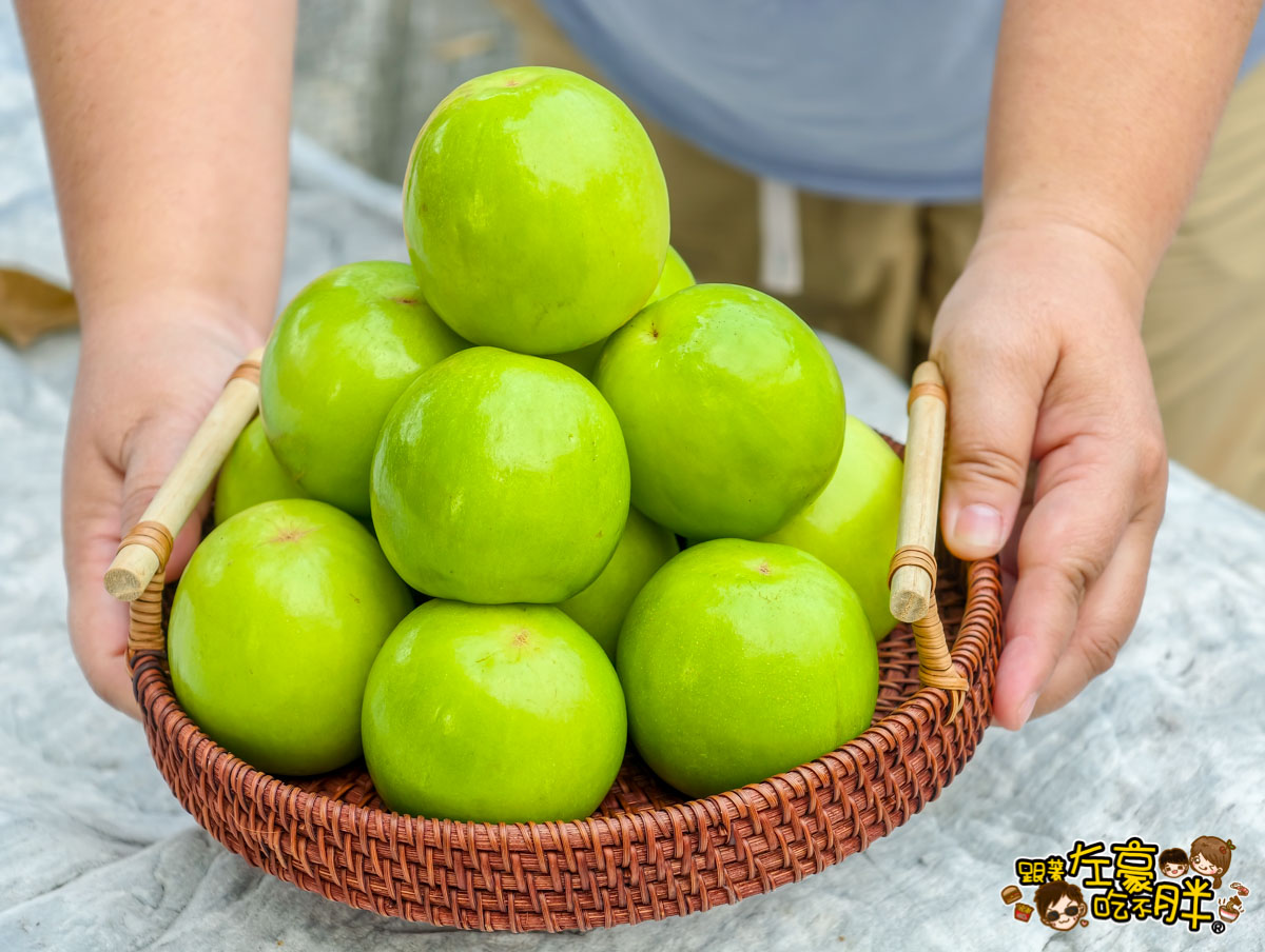 伴手禮推薦,平價禮盒推薦,年節禮盒,棗子,水果禮盒推薦,禮盒推薦,蜜棗,送禮,送禮推薦,過年禮盒推薦,靜園農場,高雄伴手禮
