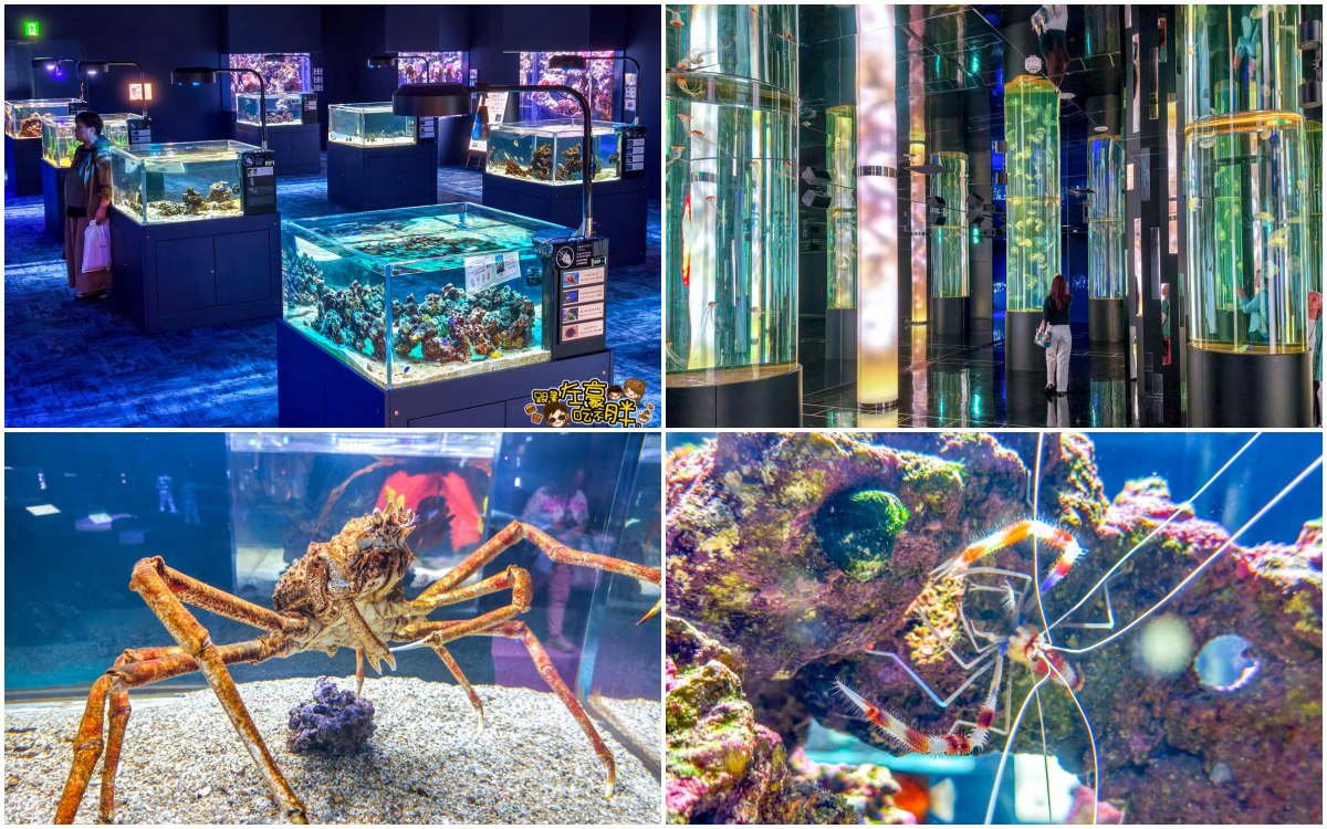 iisa豐崎,佐世保,佐世保五番街,國際通,探索星號,日本景點,沖繩,長崎,麗星郵輪