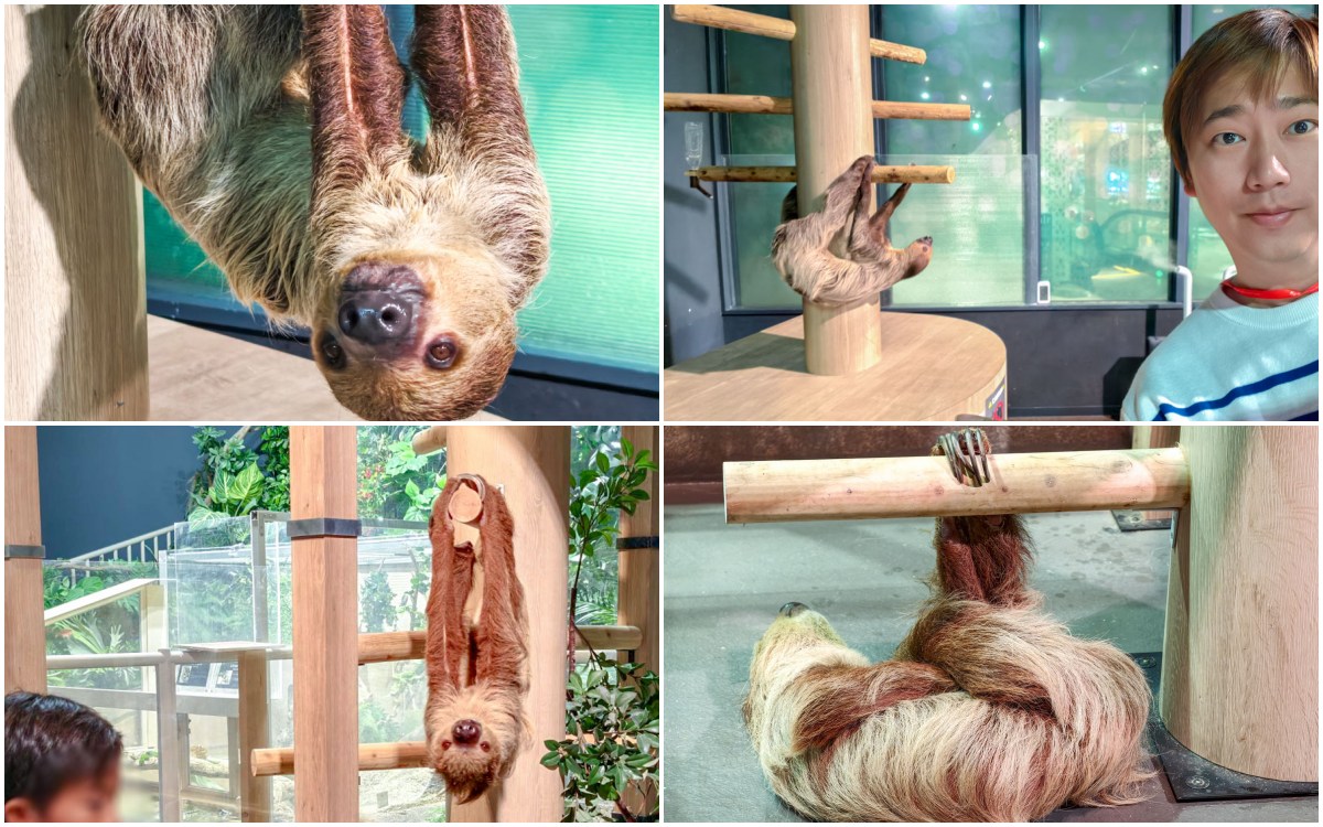 iisa豐崎,佐世保,佐世保五番街,國際通,探索星號,日本景點,沖繩,長崎,麗星郵輪