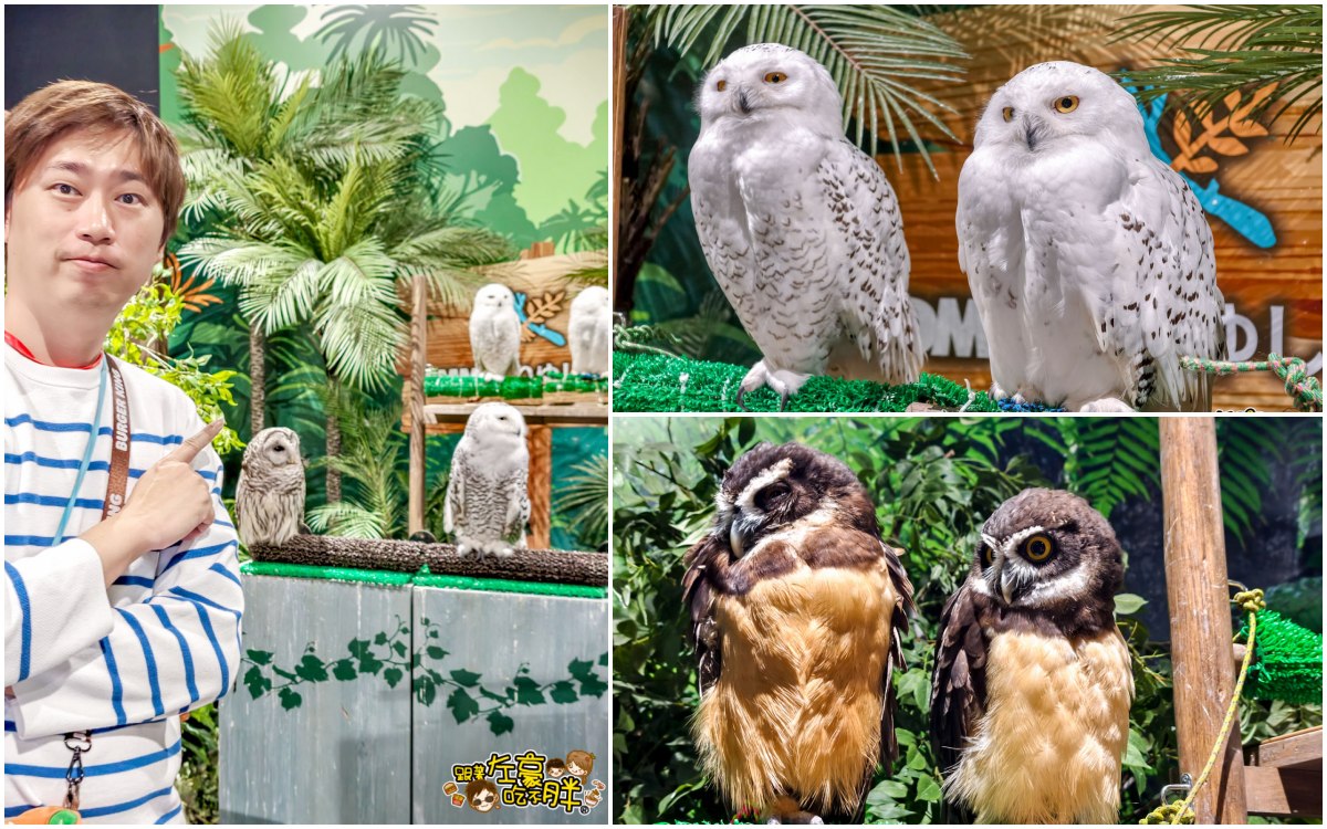 iisa豐崎,佐世保,佐世保五番街,國際通,探索星號,日本景點,沖繩,長崎,麗星郵輪