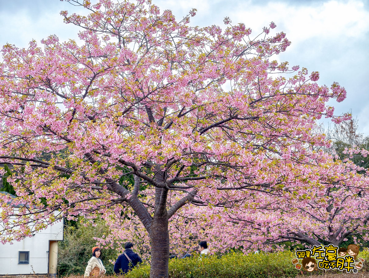 iisa豐崎,佐世保,佐世保五番街,國際通,探索星號,日本景點,沖繩,長崎,麗星郵輪
