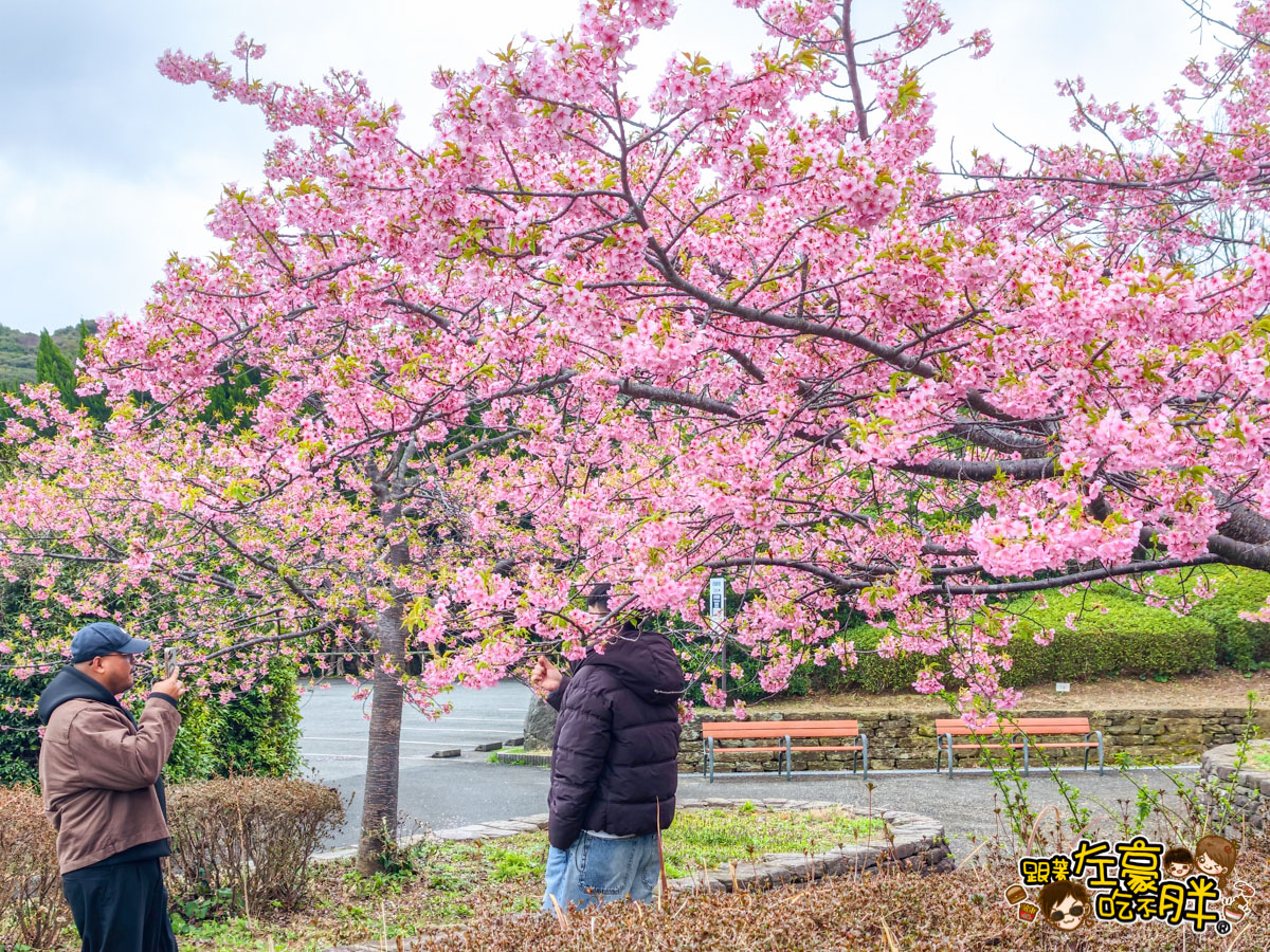iisa豐崎,佐世保,佐世保五番街,國際通,探索星號,日本景點,沖繩,長崎,麗星郵輪