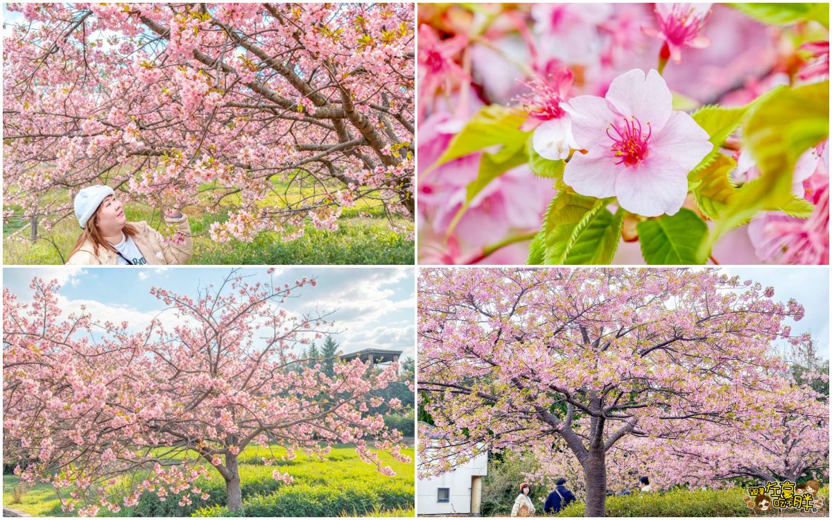 iisa豐崎,佐世保,佐世保五番街,國際通,探索星號,日本景點,沖繩,長崎,麗星郵輪