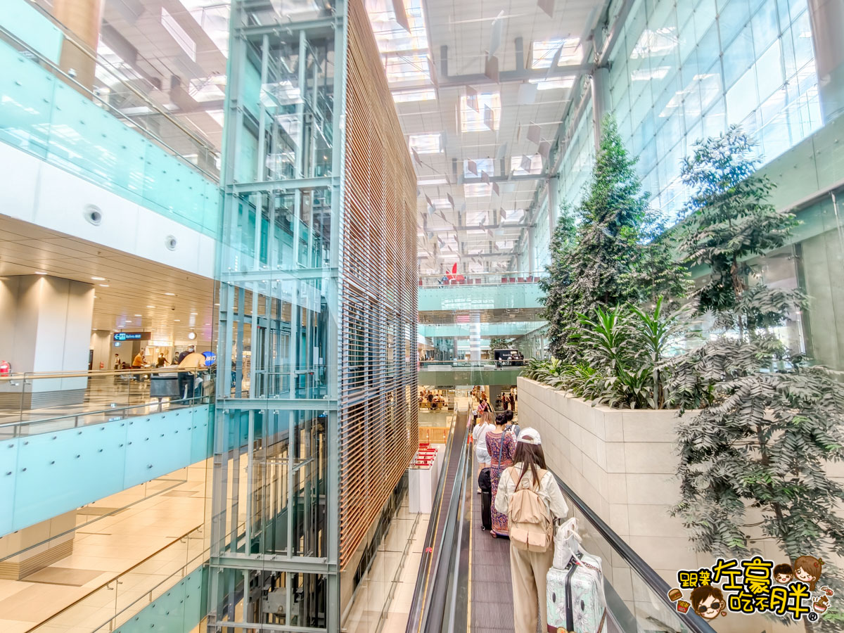 中華航空,小港機場,新加坡,新加坡飛機,樟宜機場,華信航空