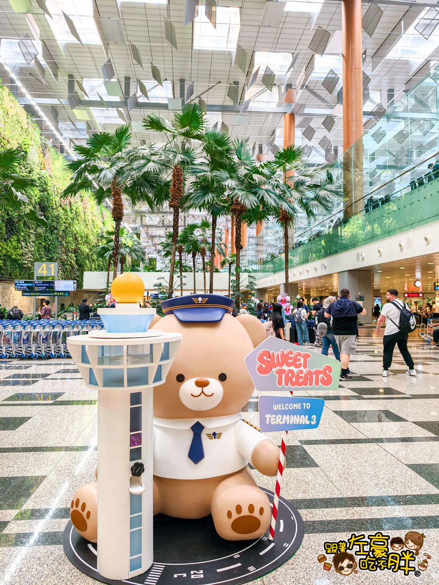 中華航空,小港機場,新加坡,新加坡飛機,樟宜機場,華信航空