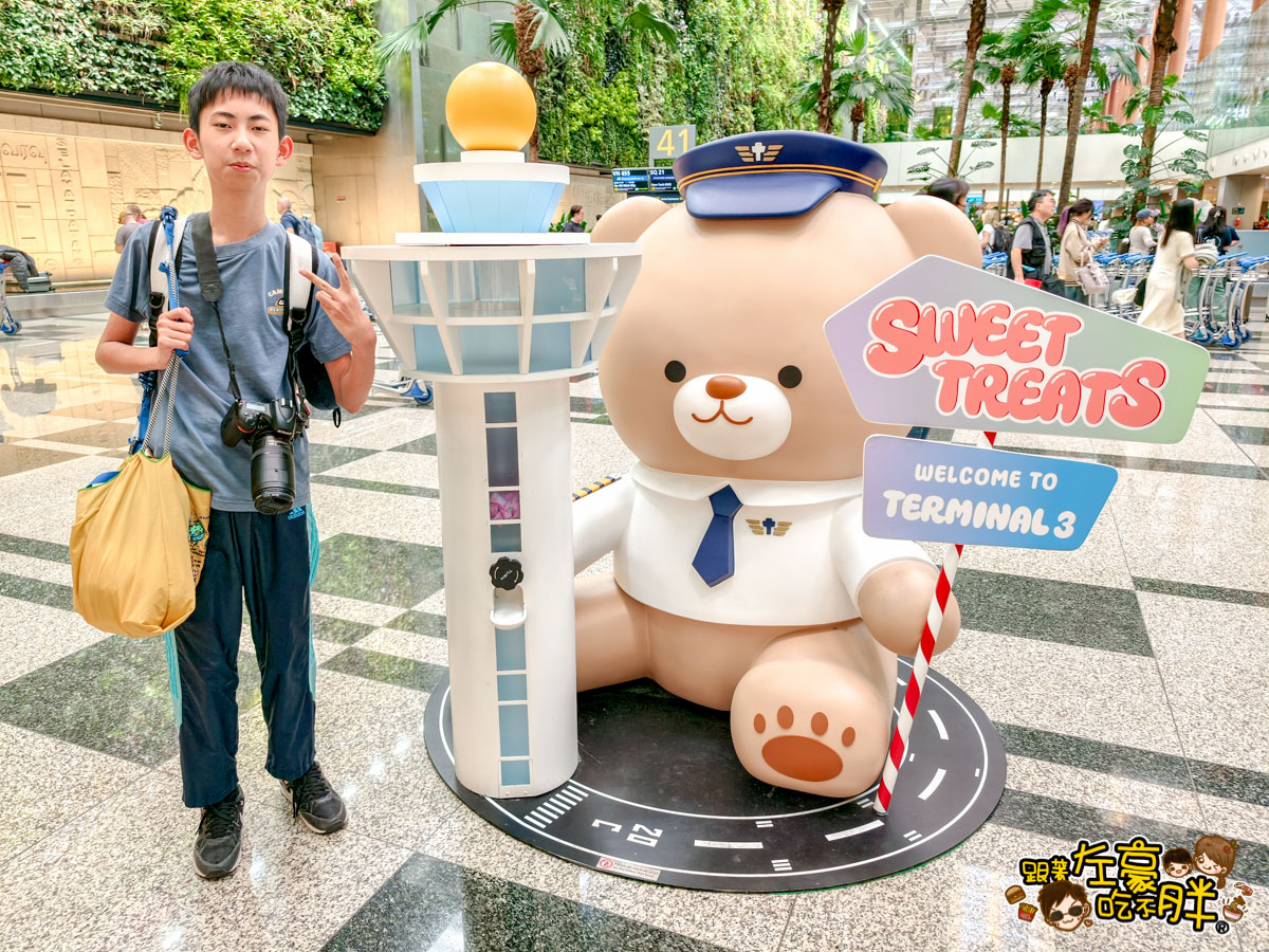 中華航空,小港機場,新加坡,新加坡飛機,樟宜機場,華信航空