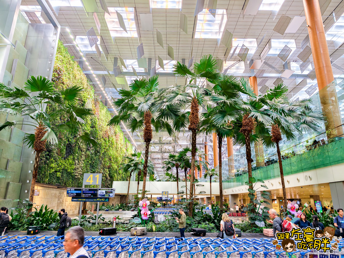 中華航空,小港機場,新加坡,新加坡飛機,樟宜機場,華信航空