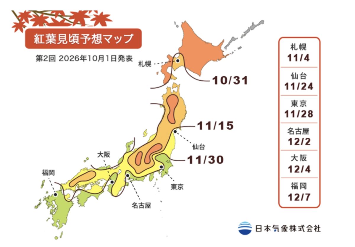 めいじじんぐうがいえん,明治神宮,明治神宮外苑,東京旅遊,東京景點,東京港區,東京自由行,自助旅行,銀杏林