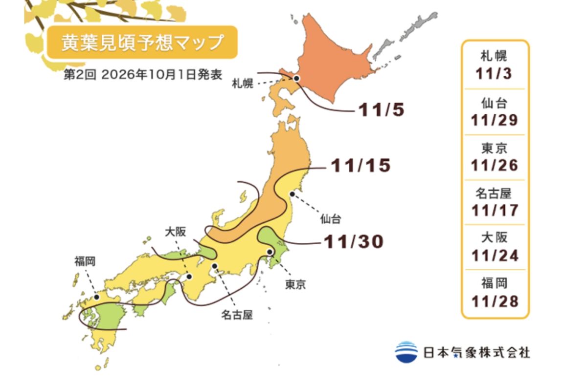 めいじじんぐうがいえん,明治神宮,明治神宮外苑,東京旅遊,東京景點,東京港區,東京自由行,自助旅行,銀杏林