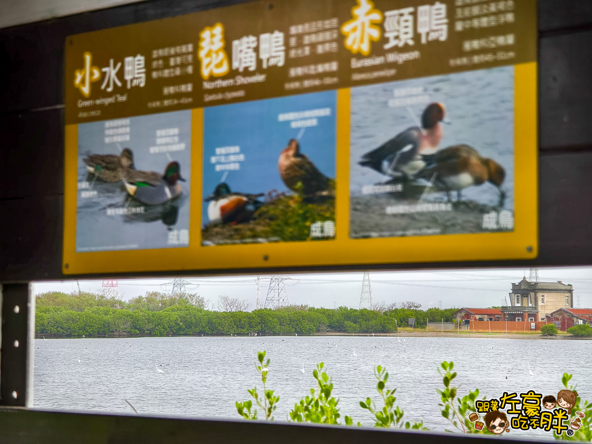 大海開吃,永它一日遊,永安景點,永安石斑魚節,烏樹林玄德宮,蘇班長安心漁場,鑽石沙灘,高雄旅遊,高雄景點,高雄泡麵土地公,高雄海線景點,高雄親子景點,龍膽石斑