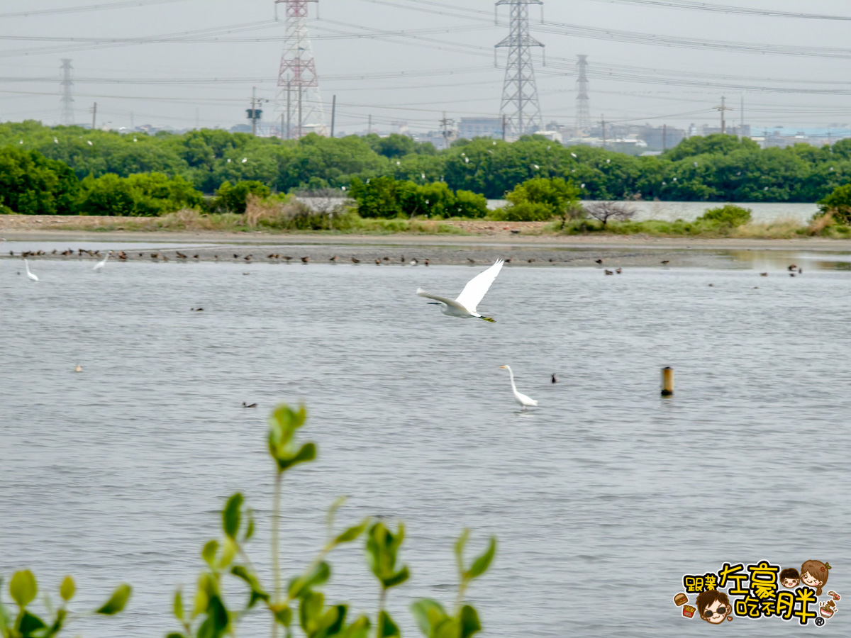 大海開吃,永它一日遊,永安景點,永安石斑魚節,烏樹林玄德宮,蘇班長安心漁場,鑽石沙灘,高雄旅遊,高雄景點,高雄泡麵土地公,高雄海線景點,高雄親子景點,龍膽石斑