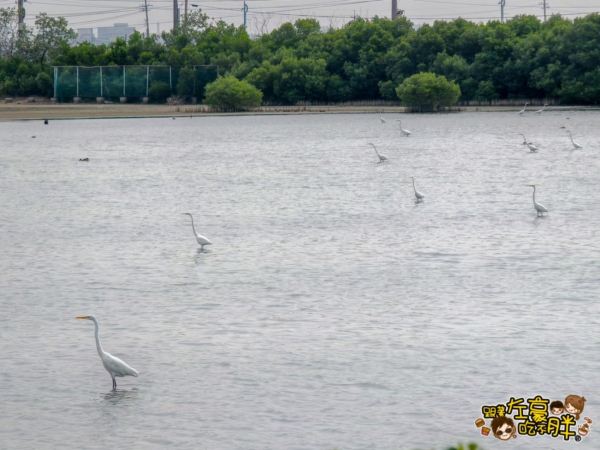 大海開吃,永它一日遊,永安景點,永安石斑魚節,烏樹林玄德宮,蘇班長安心漁場,鑽石沙灘,高雄旅遊,高雄景點,高雄泡麵土地公,高雄海線景點,高雄親子景點,龍膽石斑