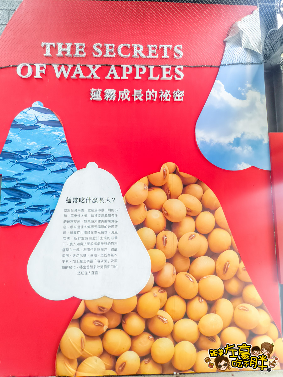 Dcard,佳冬景點,佳冬鄉農會,屏東旅遊,屏東景點,屏東美食,親子景點,透紅佳人,電車吃漢
