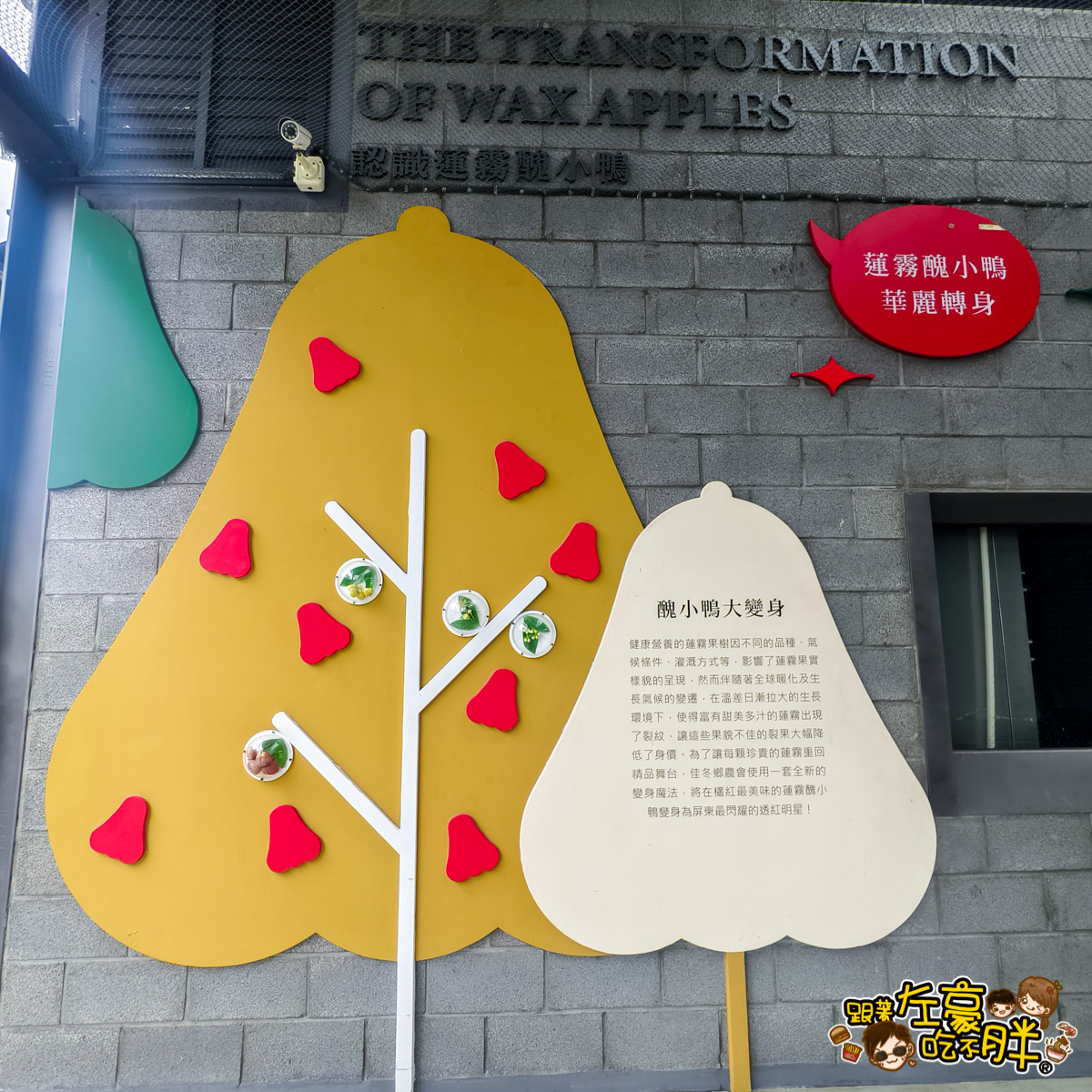 Dcard,佳冬景點,佳冬鄉農會,屏東旅遊,屏東景點,屏東美食,親子景點,透紅佳人,電車吃漢