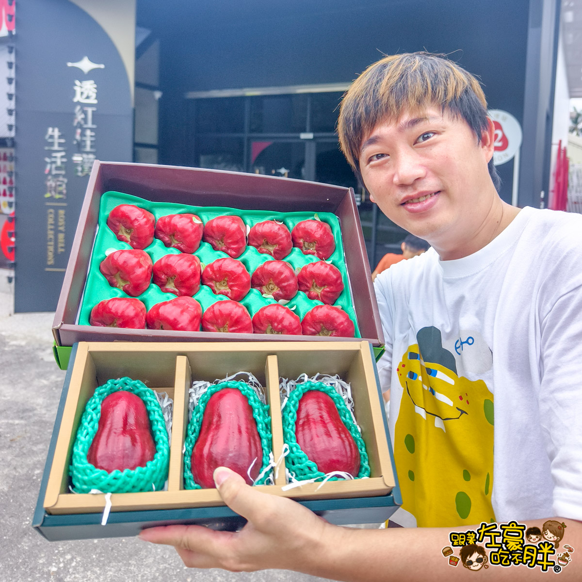 Dcard,佳冬景點,佳冬鄉農會,屏東旅遊,屏東景點,屏東美食,親子景點,透紅佳人,電車吃漢