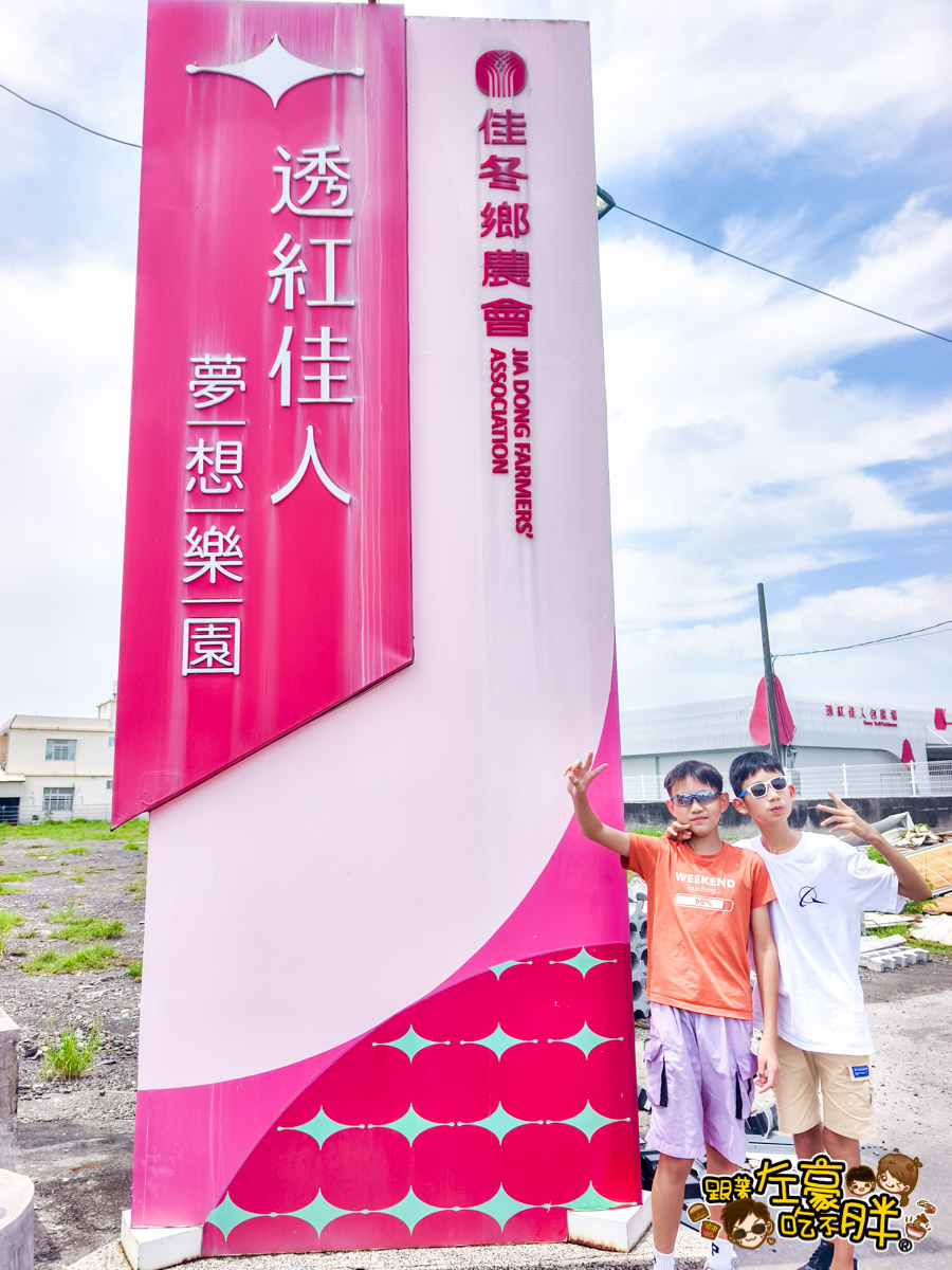 Dcard,佳冬景點,佳冬鄉農會,屏東旅遊,屏東景點,屏東美食,親子景點,透紅佳人,電車吃漢