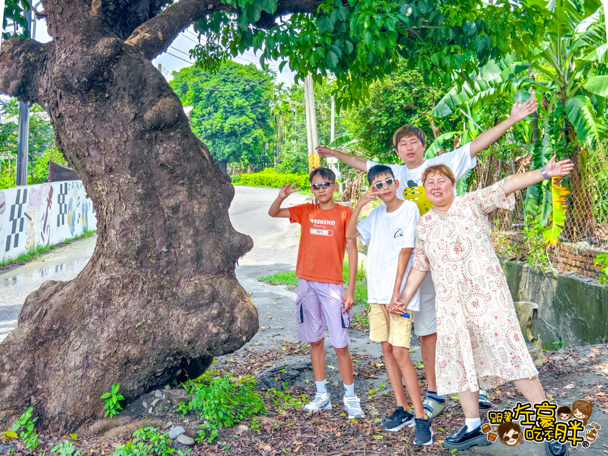 Dcard,佳冬景點,佳冬鄉農會,屏東旅遊,屏東景點,屏東美食,親子景點,透紅佳人,電車吃漢