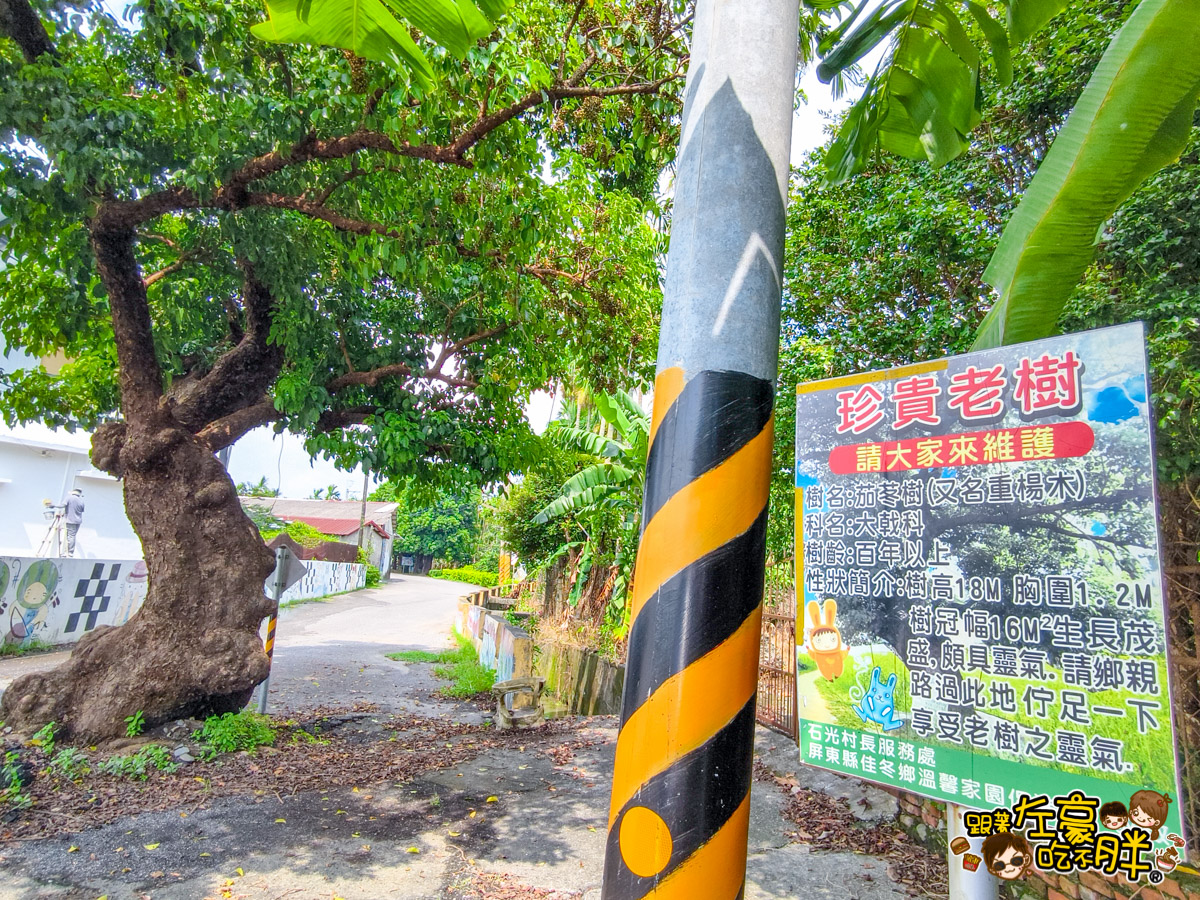 Dcard,佳冬景點,佳冬鄉農會,屏東旅遊,屏東景點,屏東美食,親子景點,透紅佳人,電車吃漢