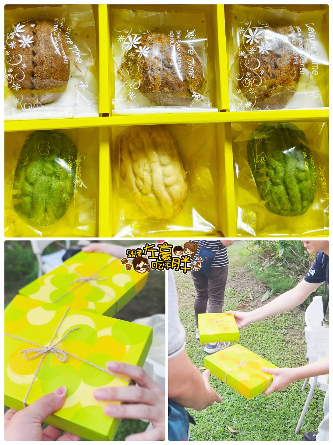台灣自由行,大樹一日遊,大樹景點,水樂園,玩水景點,舊鐵橋,農友種苗,高雄旅遊,高雄景點