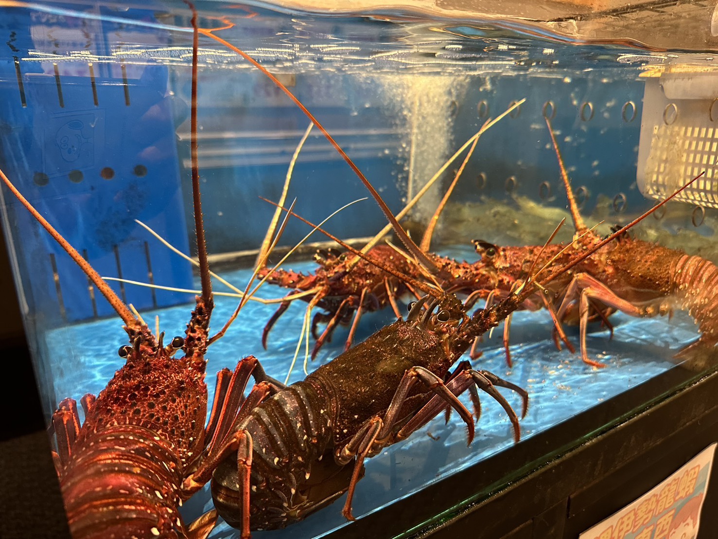 31冰淇淋,JAPAN燒烤,一幻拉麵,新濱町海洋廚房,日乃屋咖哩,親子景點,高雄旅遊,高雄景點,高雄美食 31冰淇淋,JAPAN燒烤,一幻拉麵,新濱町海洋廚房,日乃屋咖哩,親子景點,高雄旅遊,高雄景點,高雄美食