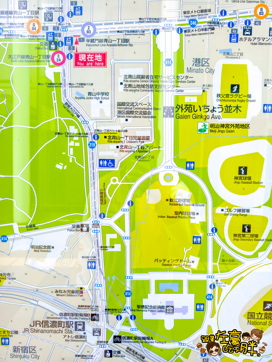 めいじじんぐうがいえん,明治神宮,明治神宮外苑,東京旅遊,東京景點,東京港區,東京自由行,自助旅行,銀杏林