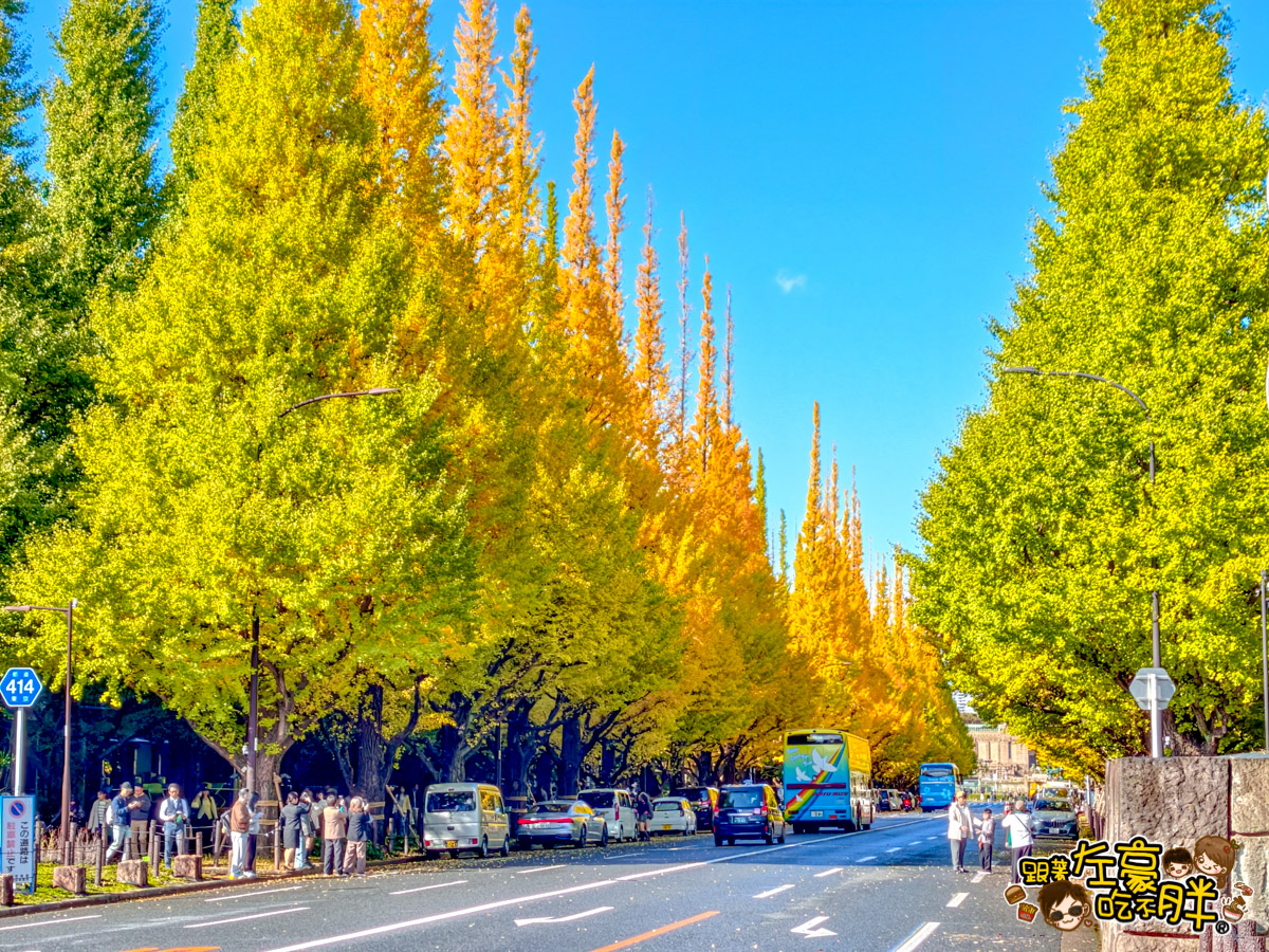 めいじじんぐうがいえん,明治神宮,明治神宮外苑,東京旅遊,東京景點,東京港區,東京自由行,自助旅行,銀杏林