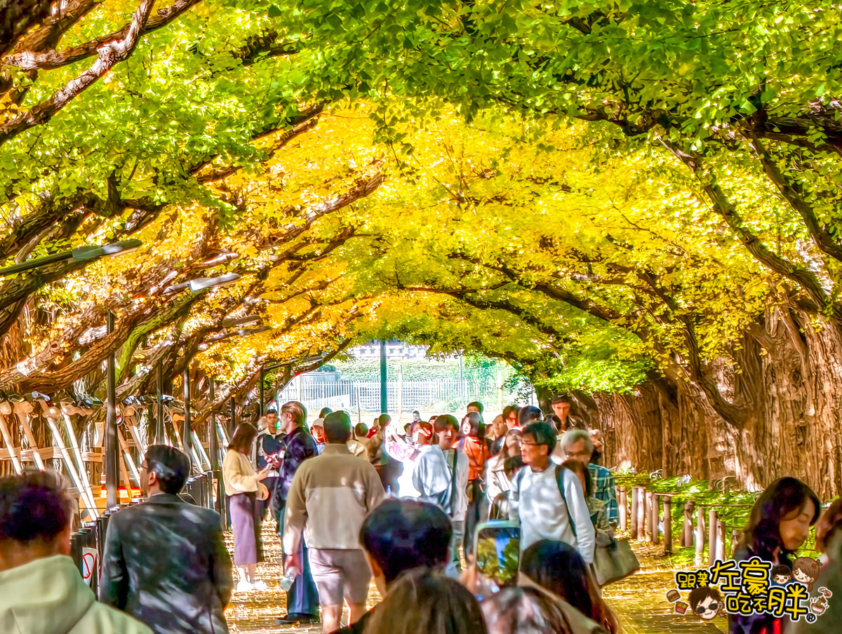 めいじじんぐうがいえん,明治神宮,明治神宮外苑,東京旅遊,東京景點,東京港區,東京自由行,自助旅行,銀杏林