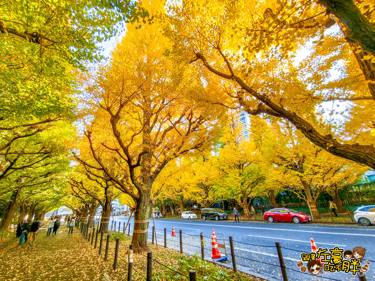めいじじんぐうがいえん,明治神宮,明治神宮外苑,東京旅遊,東京景點,東京港區,東京自由行,自助旅行,銀杏林