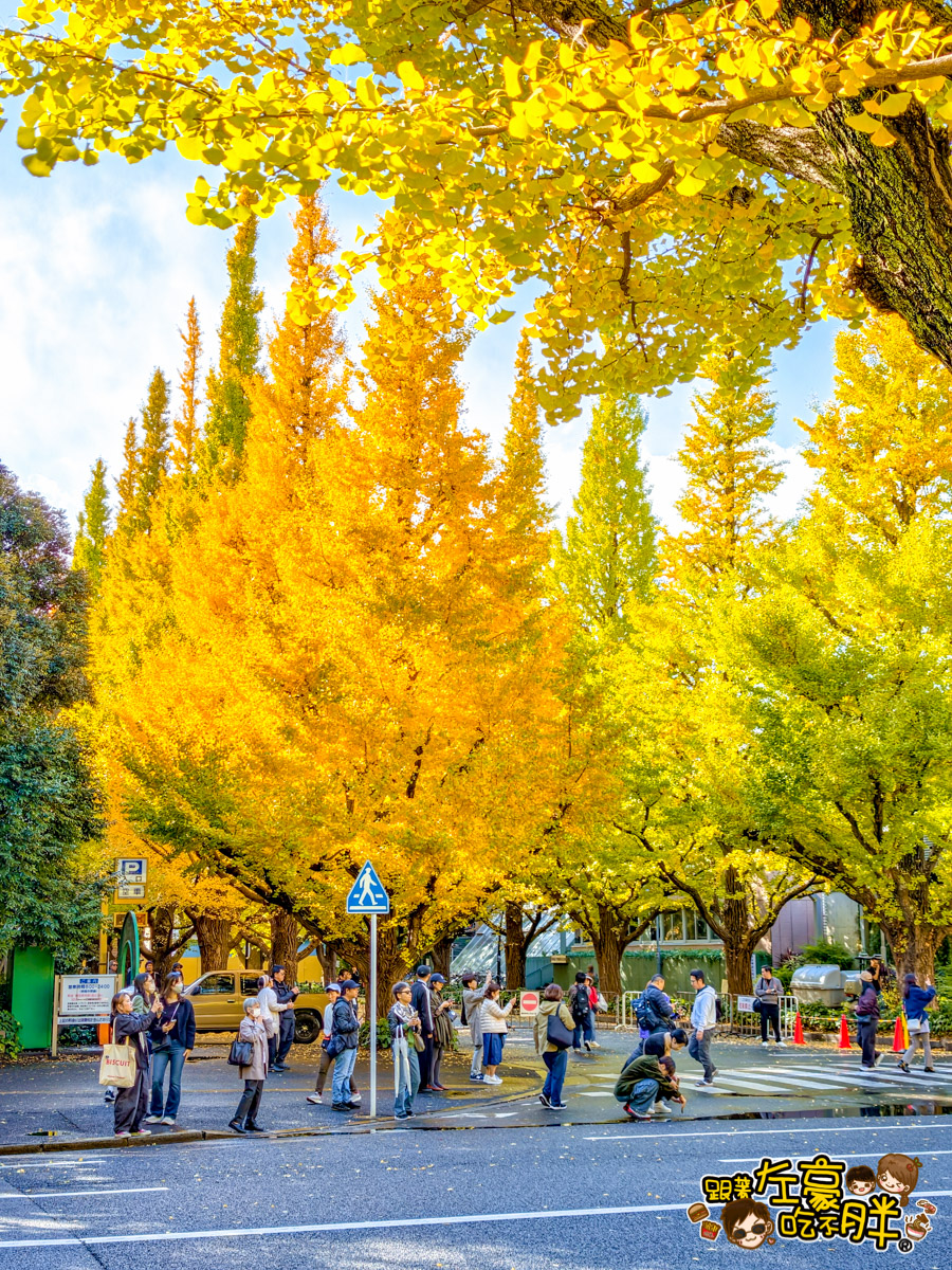 めいじじんぐうがいえん,明治神宮,明治神宮外苑,東京旅遊,東京景點,東京港區,東京自由行,自助旅行,銀杏林