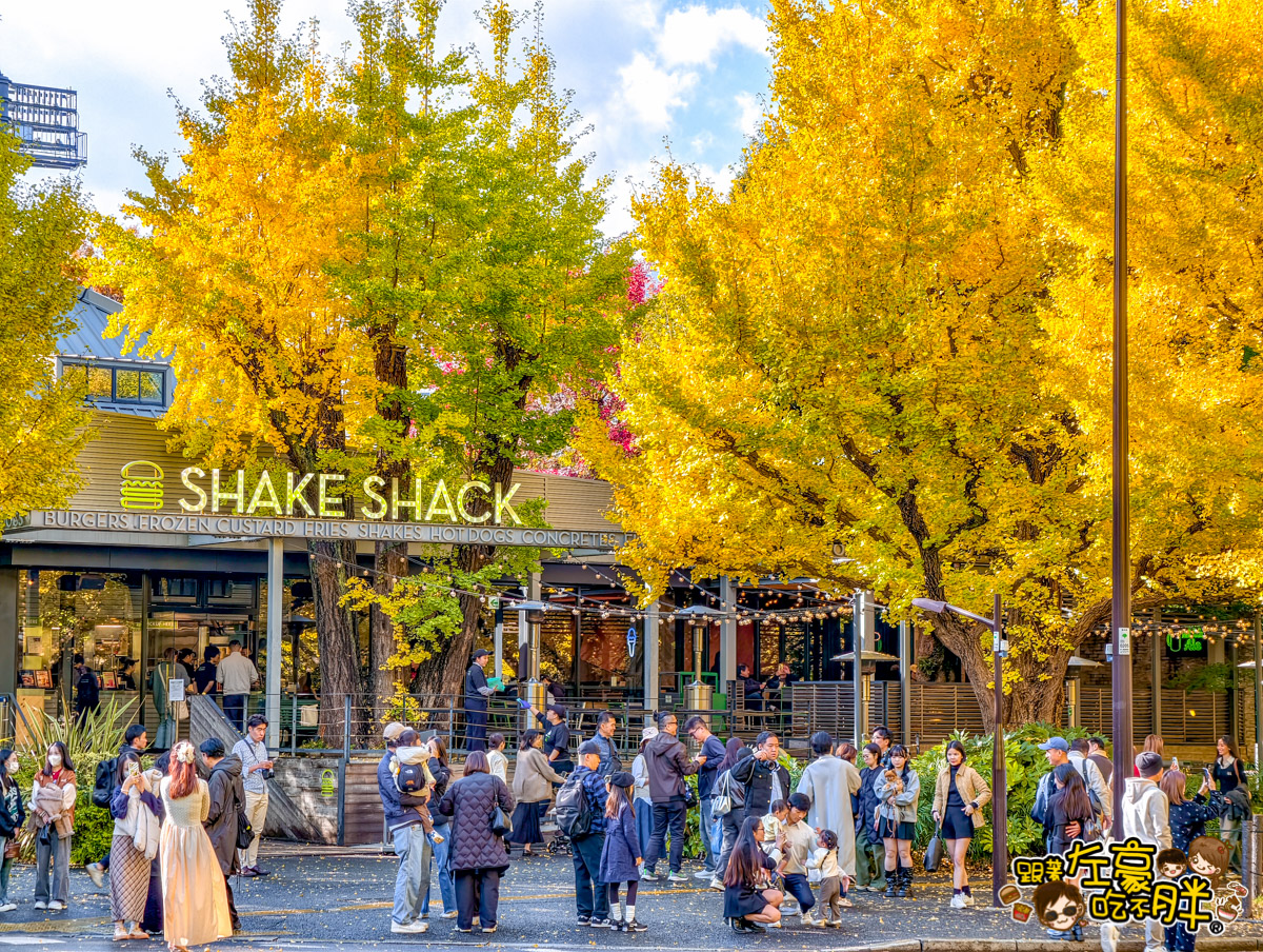 めいじじんぐうがいえん,明治神宮,明治神宮外苑,東京旅遊,東京景點,東京港區,東京自由行,自助旅行,銀杏林
