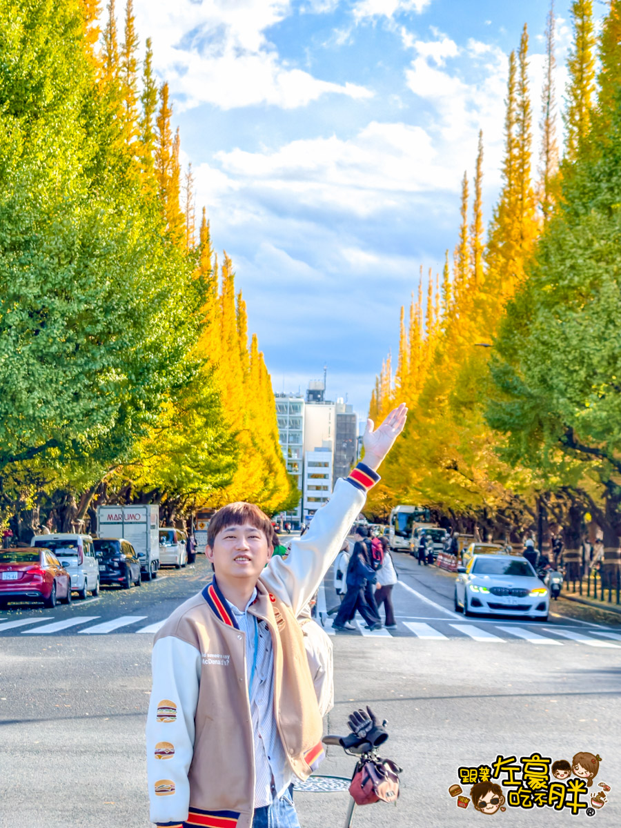 めいじじんぐうがいえん,明治神宮,明治神宮外苑,東京旅遊,東京景點,東京港區,東京自由行,自助旅行,銀杏林