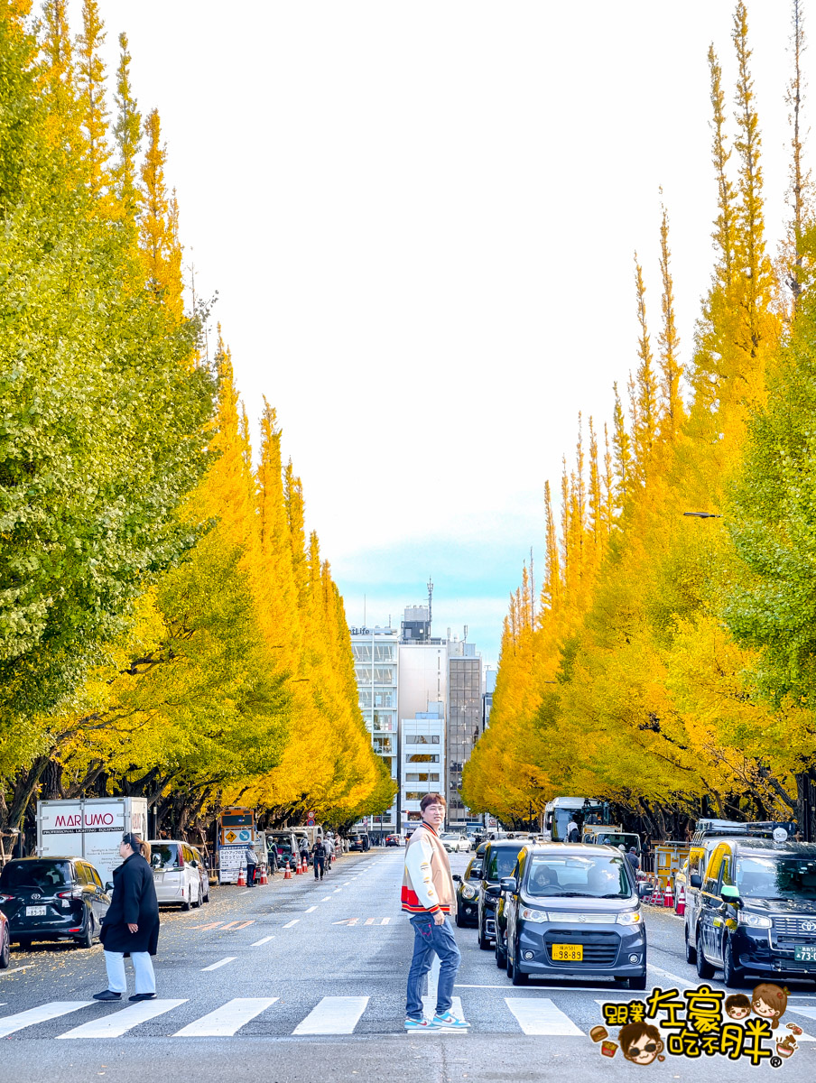 めいじじんぐうがいえん,明治神宮,明治神宮外苑,東京旅遊,東京景點,東京港區,東京自由行,自助旅行,銀杏林