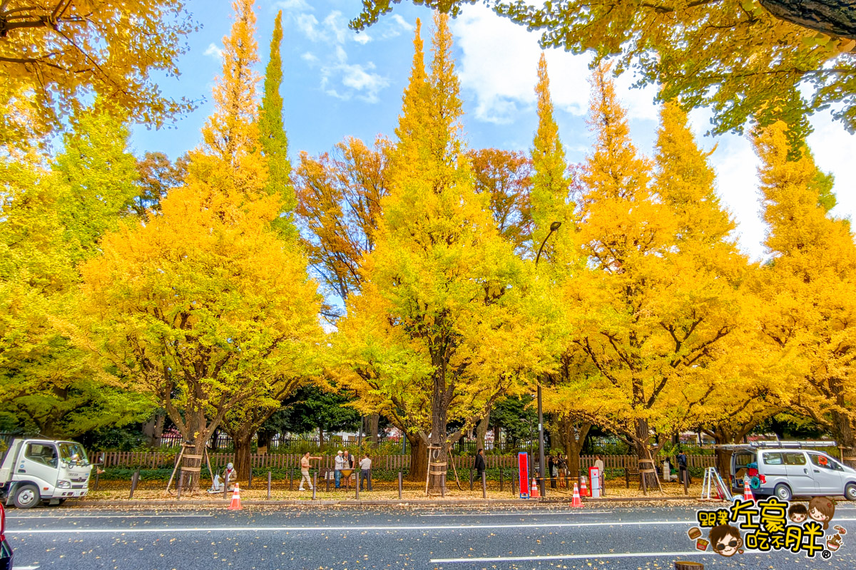 めいじじんぐうがいえん,明治神宮,明治神宮外苑,東京旅遊,東京景點,東京港區,東京自由行,自助旅行,銀杏林