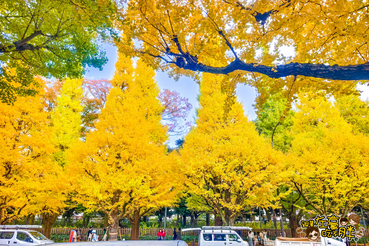 めいじじんぐうがいえん,明治神宮,明治神宮外苑,東京旅遊,東京景點,東京港區,東京自由行,自助旅行,銀杏林