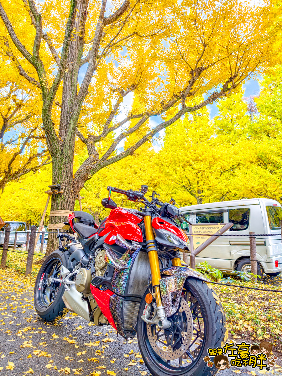 めいじじんぐうがいえん,明治神宮,明治神宮外苑,東京旅遊,東京景點,東京港區,東京自由行,自助旅行,銀杏林
