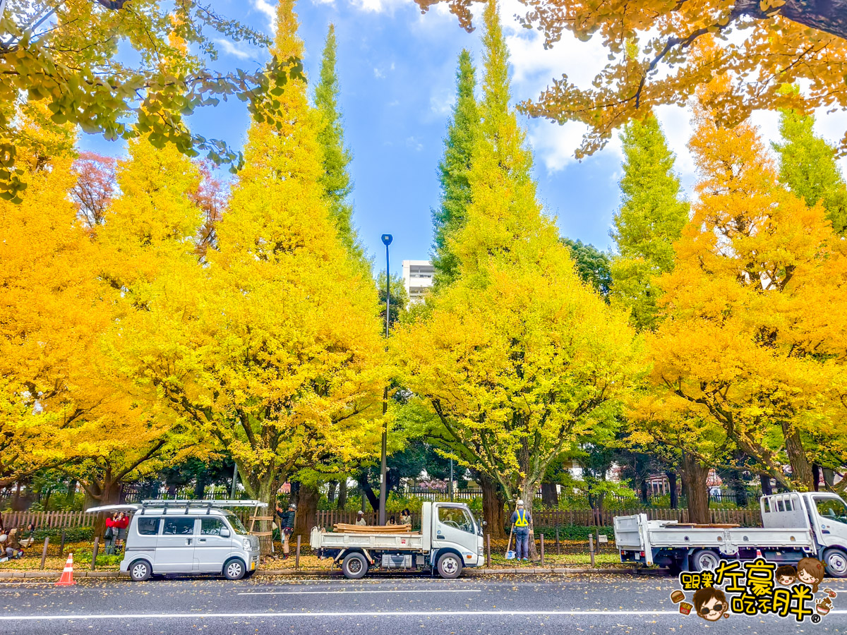 めいじじんぐうがいえん,明治神宮,明治神宮外苑,東京旅遊,東京景點,東京港區,東京自由行,自助旅行,銀杏林